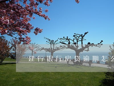 建行银行房贷逾期怎么办 建行银行房贷逾期怎么办
