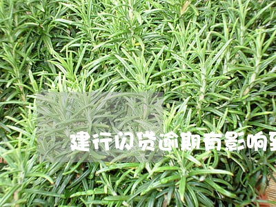 建行闪贷逾期有影响到信用卡吗 建行闪贷逾期有影响到信用卡吗