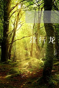 建行龙卡信用卡逾期6天 建行龙卡信用卡逾期6天