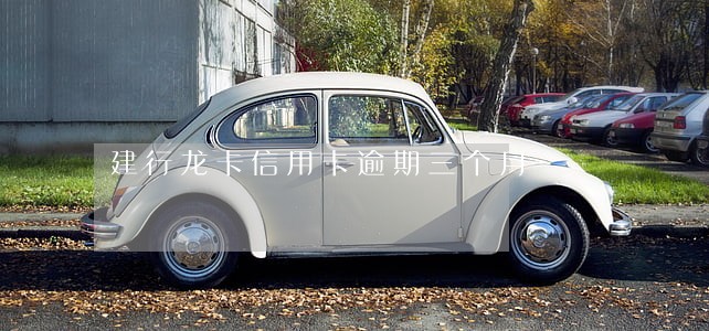 建行龙卡信用卡逾期三个月 建行龙卡信用卡逾期三个月