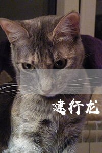 建行龙卡信用卡逾期后利息 建行龙卡信用卡逾期后利息