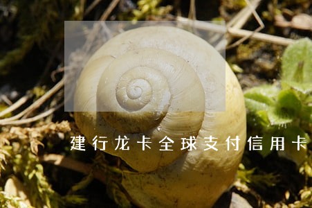 建行龙卡全球支付信用卡逾期