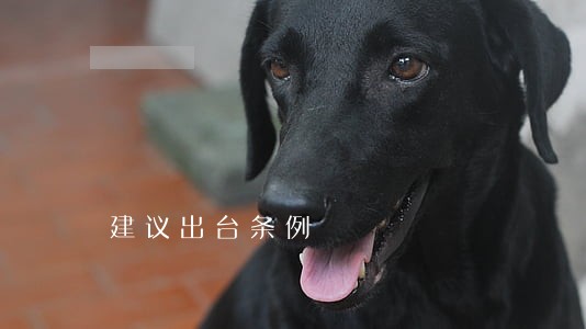 建议出台条例 建议出台条例