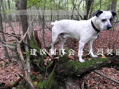 建议制订会计人员奖励条例 建议制订会计人员奖励条例