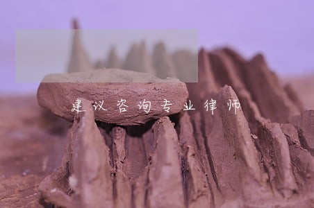 建议咨询专业律师 建议咨询专业律师