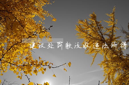 建议处罚款没收违法所得 建议处罚款没收违法所得