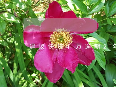 建议快贷4万逾期2年大概还多少 建议快贷4万逾期2年大概还多少