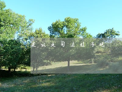 建议走司法程序吧 建议走司法程序吧