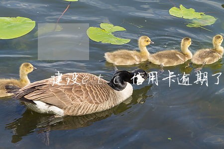 建设etc信用卡逾期了 建设etc信用卡逾期了