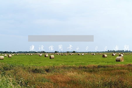 建设信用卡2000逾期 建设信用卡2000逾期