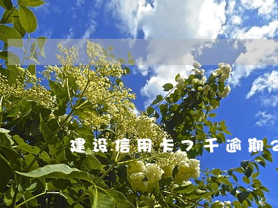 建设信用卡7千逾期2年 建设信用卡7千逾期2年