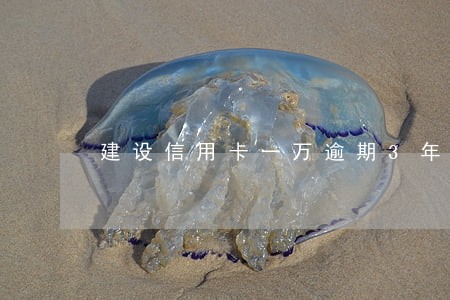建设信用卡一万逾期3年 建设信用卡一万逾期3年