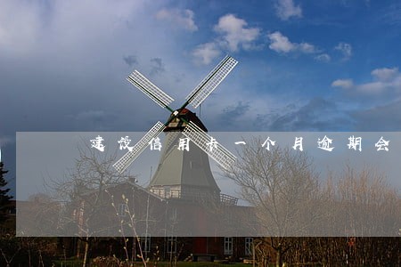 建设信用卡一个月逾期会怎样
