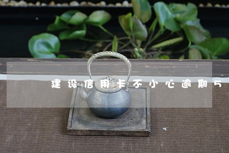 建设信用卡不小心逾期5天