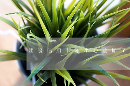 建设信用卡不小心逾期了怎么办 建设信用卡不小心逾期了怎么办