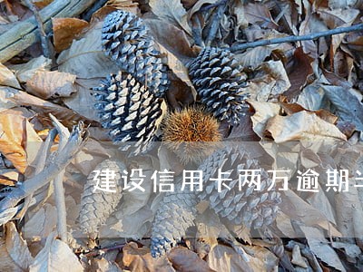 建设信用卡两万逾期半年 建设信用卡两万逾期半年
