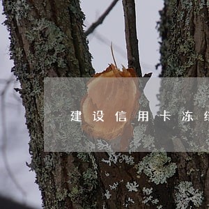 建设信用卡冻结后逾期
