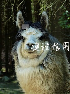 建设信用卡卡逾期利息 建设信用卡卡逾期利息