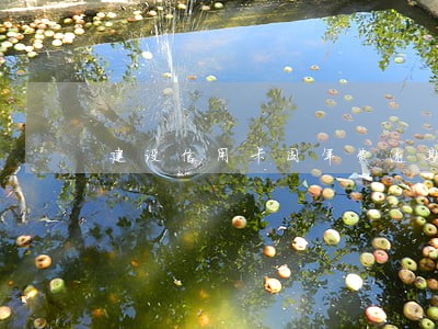 建设信用卡因年费逾期怎么办