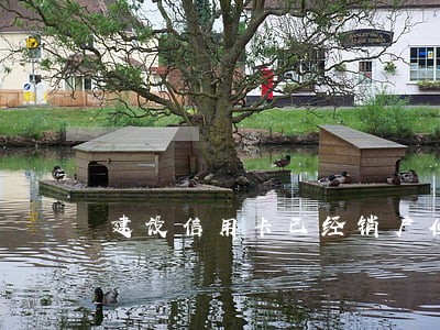 建设信用卡已经销户但逾期未还 建设信用卡已经销户但逾期未还
