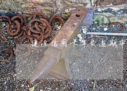 建设信用卡年费逾期申诉 建设信用卡年费逾期申诉