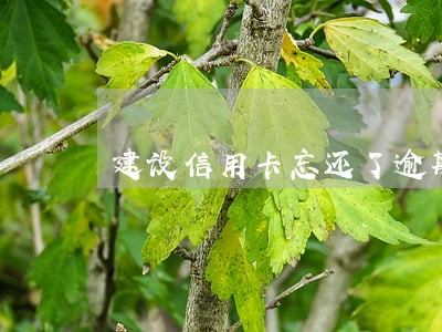 建设信用卡忘还了逾期怎么办 建设信用卡忘还了逾期怎么办