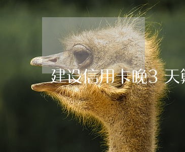 建设信用卡晚3天算逾期吗
