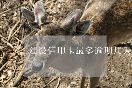 建设信用卡最多逾期几天 建设信用卡最多逾期几天