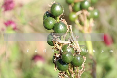 建设信用卡没逾期被冻结怎么办