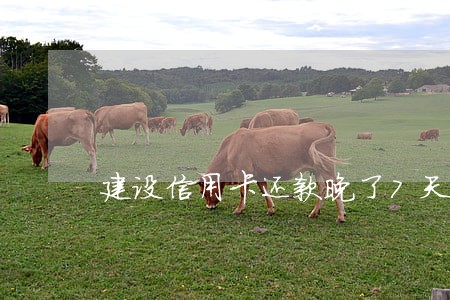 建设信用卡还款晚了7天算逾期吗 建设信用卡还款晚了7天算逾期吗