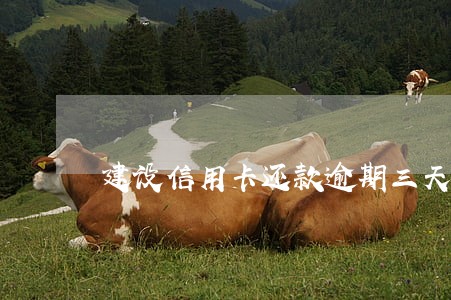 建设信用卡还款逾期三天 建设信用卡还款逾期三天