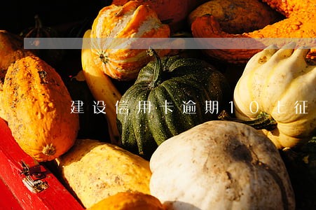 建设信用卡逾期10上征信吗 建设信用卡逾期10上征信吗