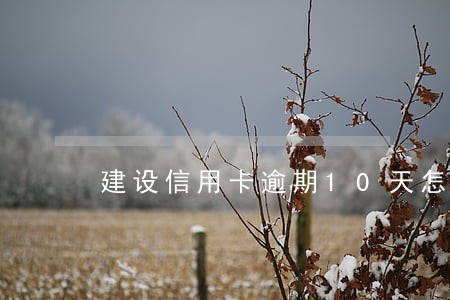 建设信用卡逾期10天怎么撤销