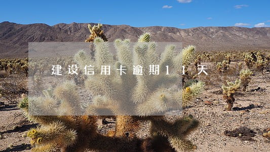建设信用卡逾期11天 建设信用卡逾期11天