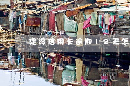 建设信用卡逾期12天怎么办