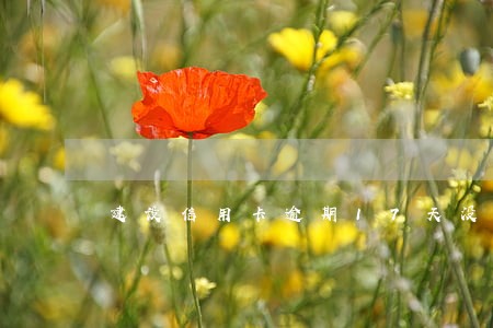 建设信用卡逾期17天没事吧 建设信用卡逾期17天没事吧