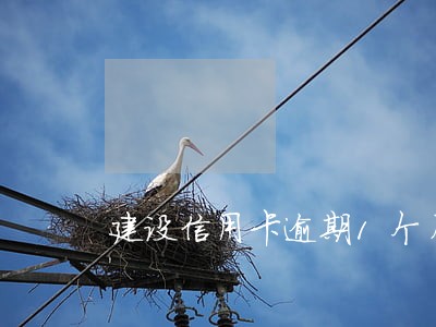 建设信用卡逾期1个月 建设信用卡逾期1个月