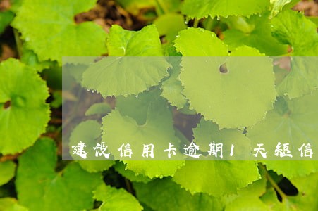 建设信用卡逾期1天短信 建设信用卡逾期1天短信