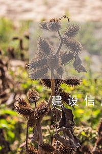 建设信用卡逾期20天 建设信用卡逾期20天
