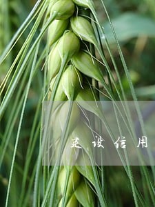 建设信用卡逾期3天 建设信用卡逾期3天