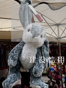 建设信用卡逾期3年减免 建设信用卡逾期3年减免
