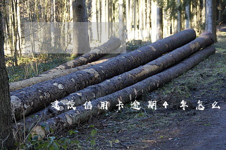 建设信用卡逾期4年怎么协商解决 建设信用卡逾期4年怎么协商解决