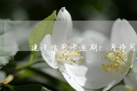 建设信用卡逾期5月停用