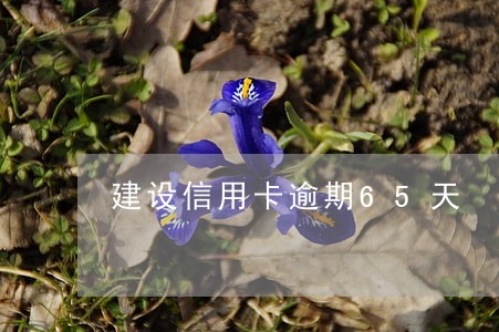 建设信用卡逾期65天 建设信用卡逾期65天