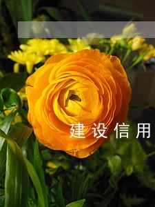建设信用卡逾期6万还不上 建设信用卡逾期6万还不上