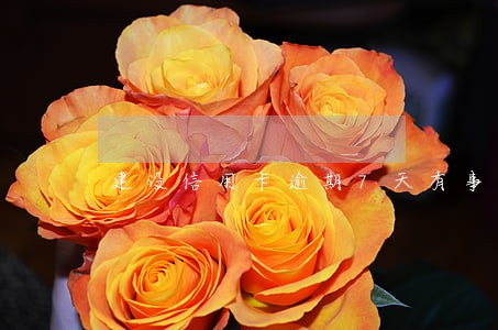 建设信用卡逾期7天有事吗 建设信用卡逾期7天有事吗