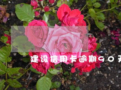 建设信用卡逾期90天被停卡 建设信用卡逾期90天被停卡