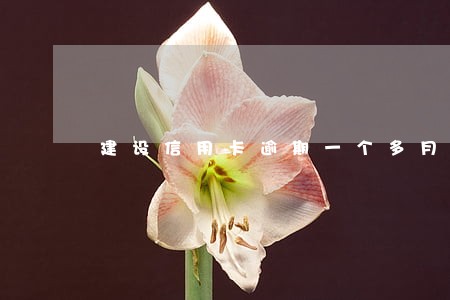 建设信用卡逾期一个多月 建设信用卡逾期一个多月