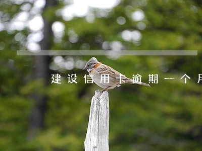 建设信用卡逾期一个月会降额度吗 建设信用卡逾期一个月会降额度吗
