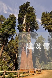 建设信用卡逾期一个月怎么办 建设信用卡逾期一个月怎么办